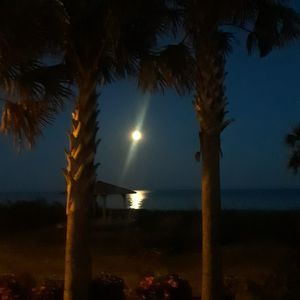 Meet your Posher, Georgie